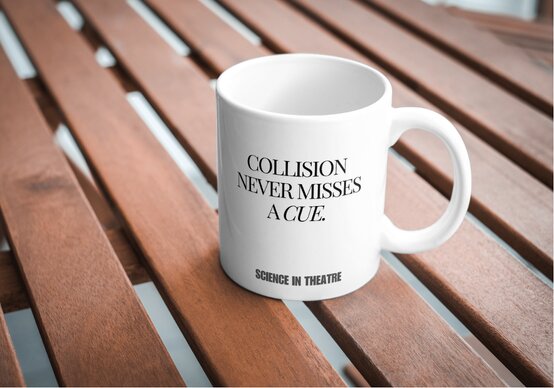 SIT Merch 3